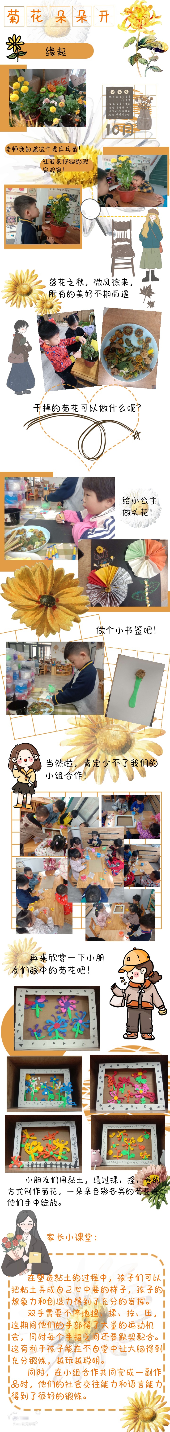 菊花朵朵开.jpg